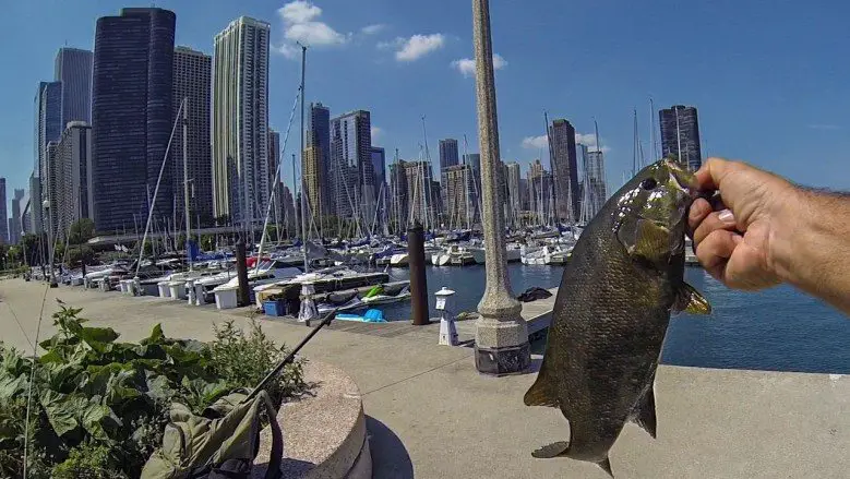 Fishing in Chicago – 25 Spots for Tight Lines