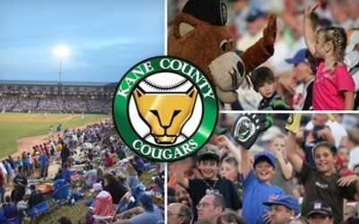 Top 5 Minor League Baseball Teams In And Around Chicago