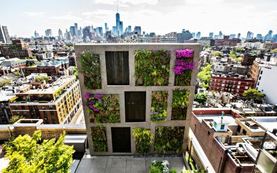 How To Create An Apartment Garden – Be An Urban Gardener