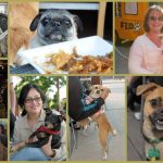 West Town Pup Crawl – They Have Beer For Your Dog Too