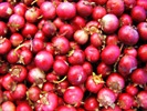 cranberries