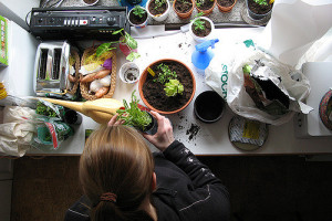 How To Create An Apartment Garden – Be An Urban Gardener