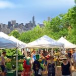 Farmers Markets in Chicago Schedule