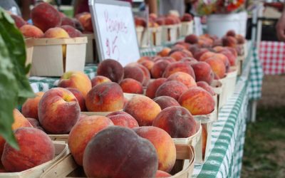 Top 10 Chicago Farmers Markets