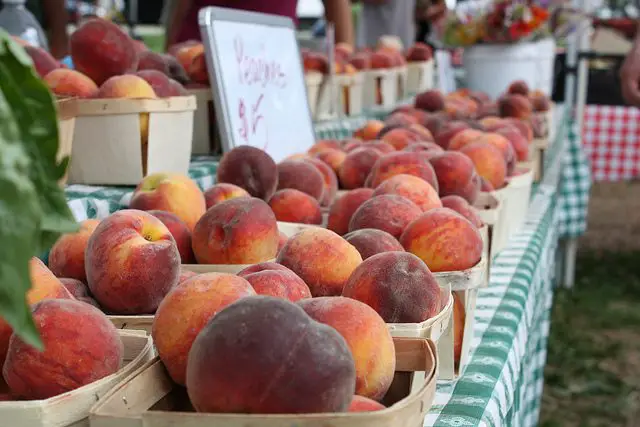 Top 10 Chicago Farmers Markets