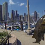 Fishing in Chicago – 25 Spots for Tight Lines