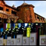Explore Illinois Wineries – They Are Everything You Want
