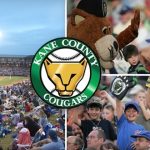 Top 5 Minor League Baseball Teams In And Around Chicago