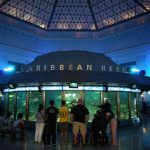 Top 10 Things To Do At Shedd Aquarium Chicago