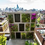 How To Create An Apartment Garden – Be An Urban Gardener