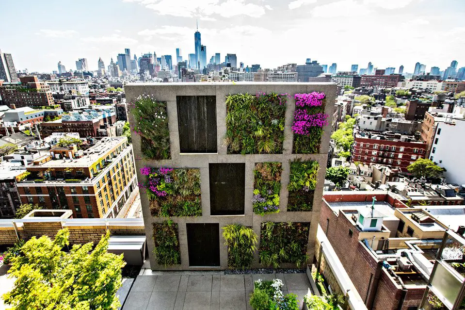 How To Create An Apartment Garden – Be An Urban Gardener