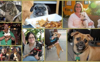 West Town Pup Crawl – They Have Beer For Your Dog Too